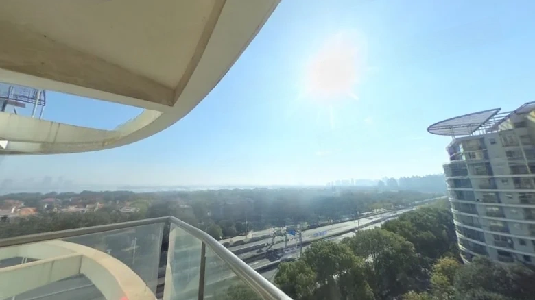 Lake Left Bank - View 11