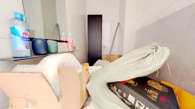 JinDi YueFeng - View 9