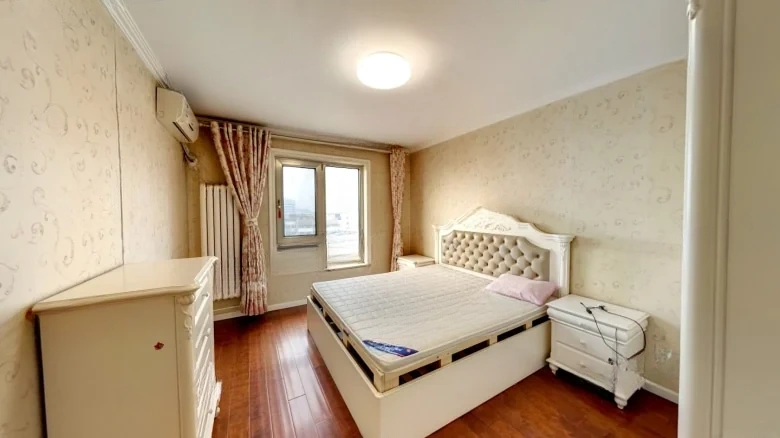 Wangyuan Dongli - View 3