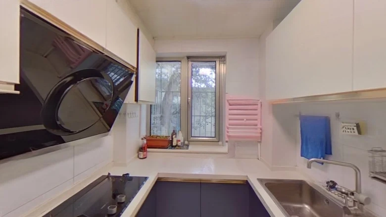 Taipingqiao West Li - View 5