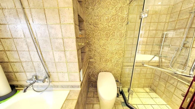 Shimao New Fifth Li River - View 9