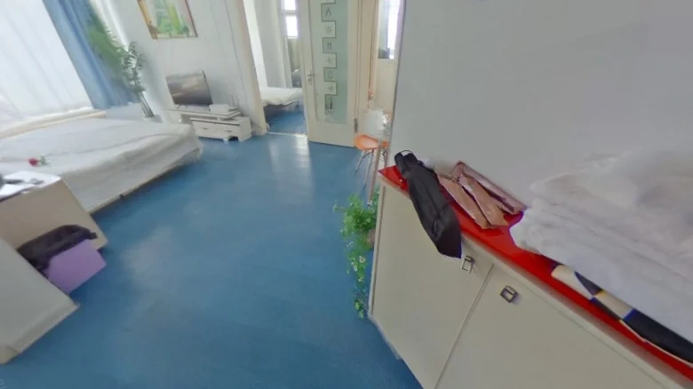 Tianxing Roosevelt - View 5