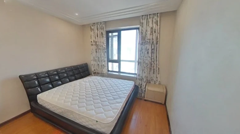 Shimao Xin Wu Li River - View 2