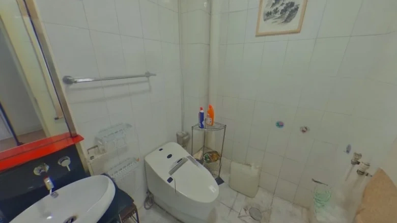 Jin Zhiyuan - View 7