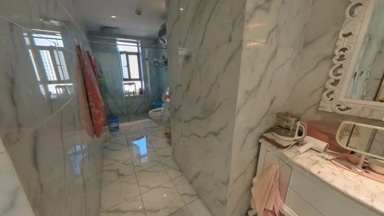 Shimao Xin Wulihu - View 8