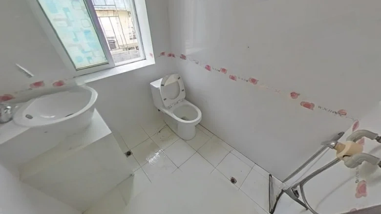 Revitalization New Village - View 6