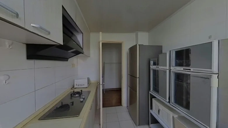 Palm Garden - View 7