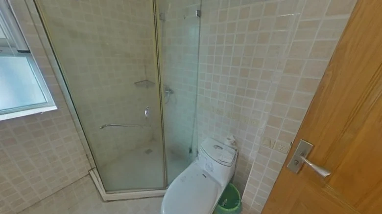 Zhan Cheng Lin Feng Qin林Yuan - View 8