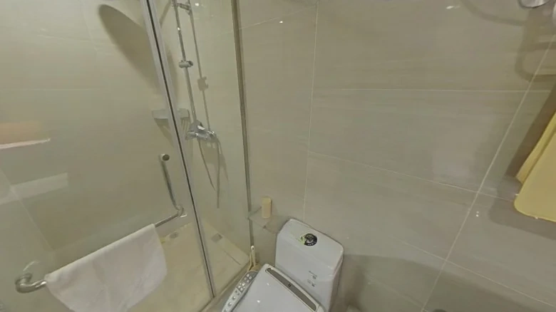 Zhongxin Fengyue City - View 10