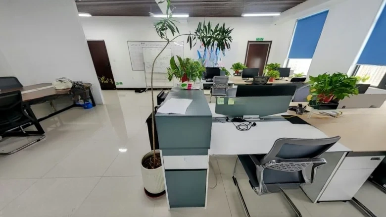 East 8 District Corporate Mansion - View 8