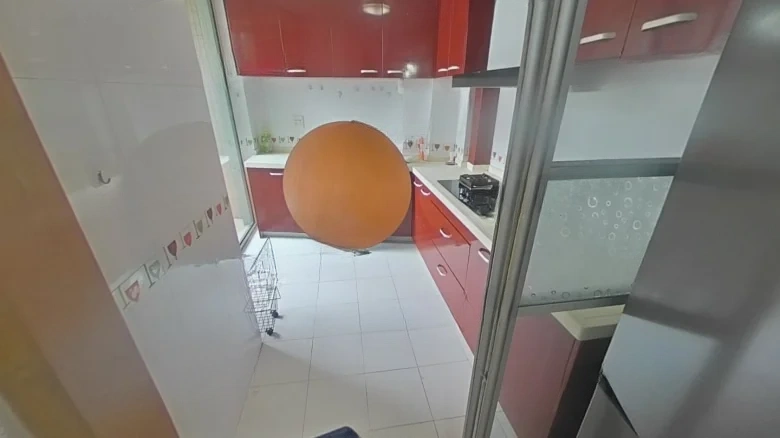 Zhan Cheng Lin Feng Qin林Yuan - View 6