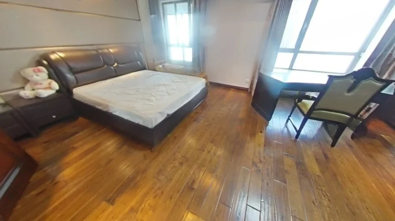 Shimao Xin Wuli He - View 3