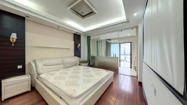 Modern Luxury Villa - View 5