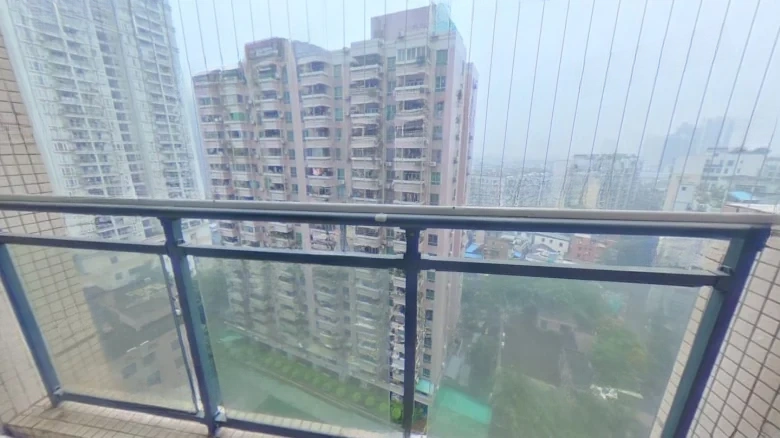 Donghua Star Domain - View 7