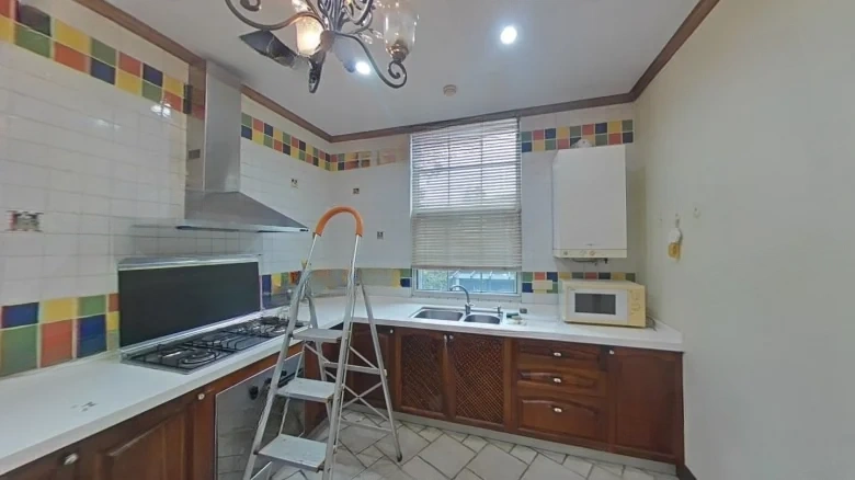 Masland Peach District - View 8