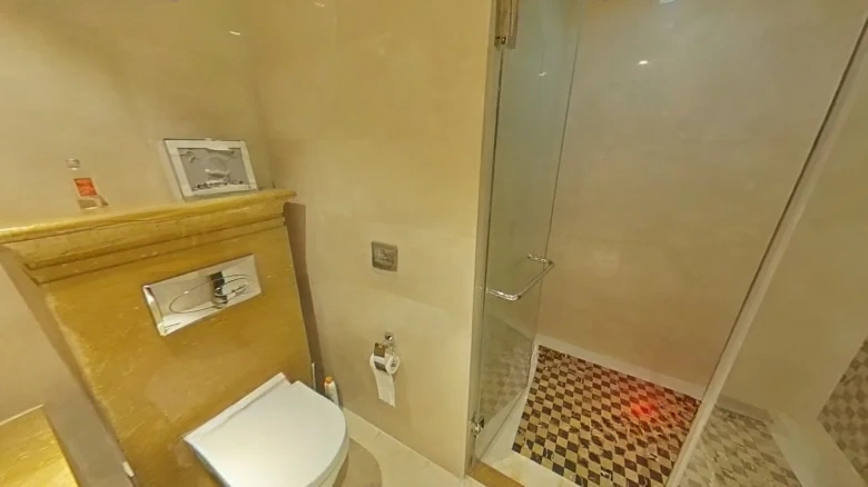 Imperial Majesty Wanxin - View 12