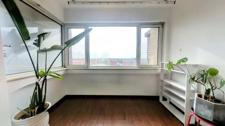 First Phase of Constant Maple One - View 7