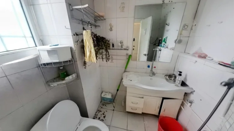 Maple Dew Imperial Garden - View 16