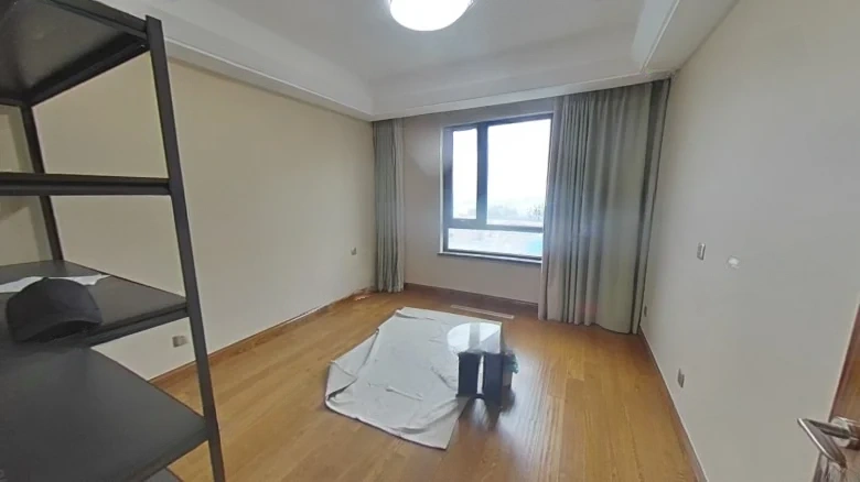 Suzhou Jinmao Mansion - View 2