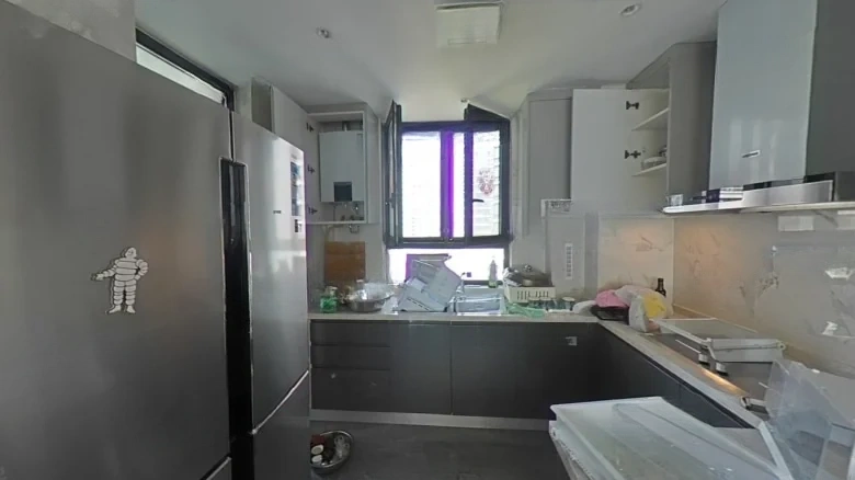 Greenland Phoenix Perch Lan Yue - View 8