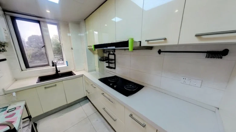 Xinsheng Eastern Domain - View 7