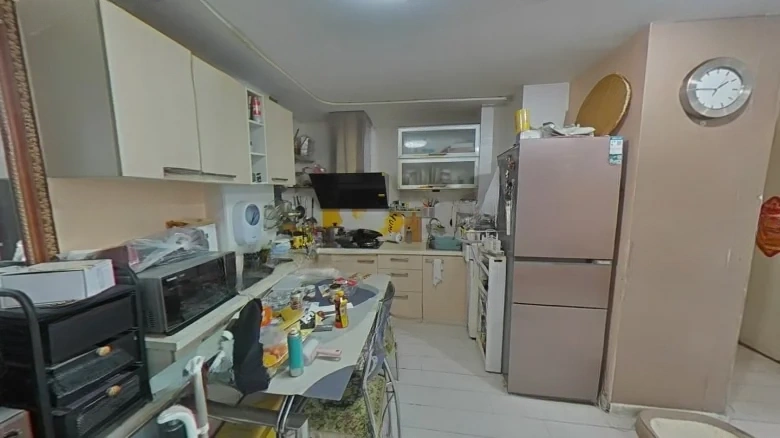 Tianxing Roosevelt - View 7