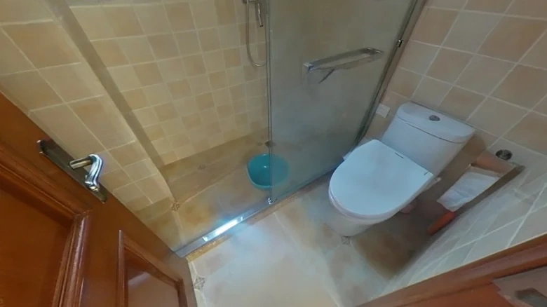 Napa Valley Mansion Retreat - View 8