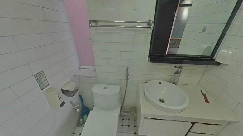 Prosperous Dragon Garden - View 10