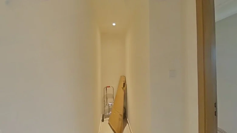 Jinpin Mansion - View 28