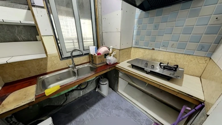 Lingxiu Jinpin Huayuan - View 5