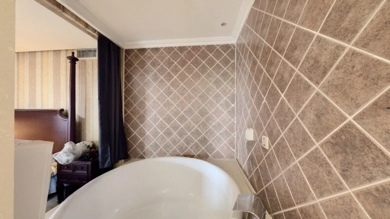 Master Field - View 8