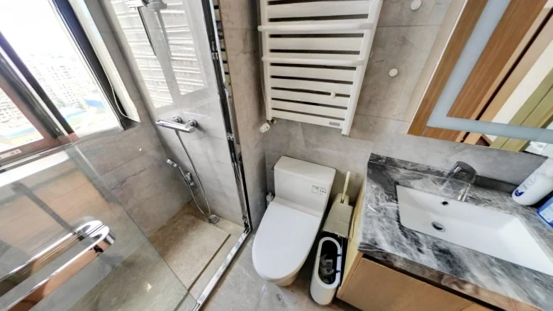 Wanke Metropolis - View 9