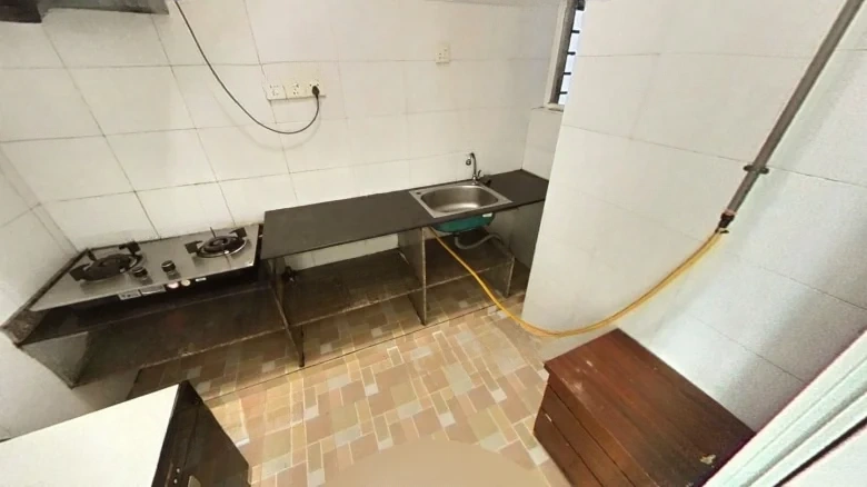 Wenyuan Spring Dawn - View 7