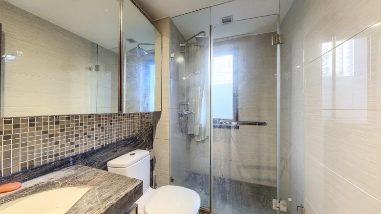 Poly Central Park - View 15