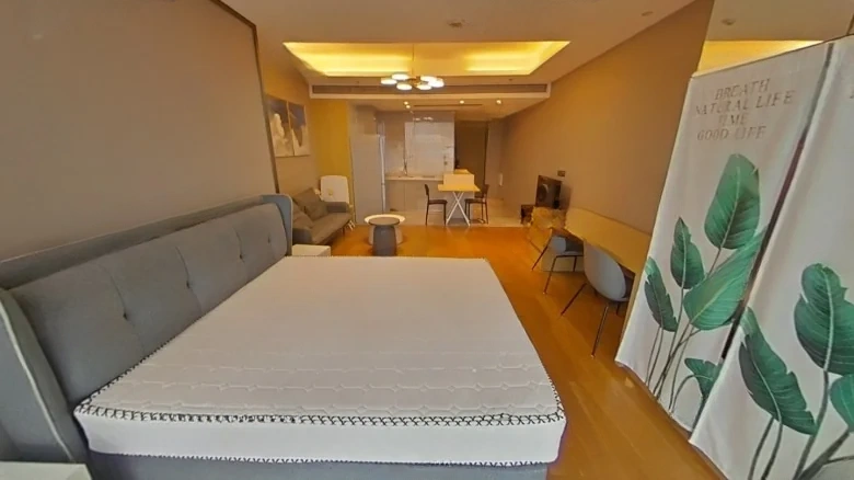 ShiBao International Center - View 2