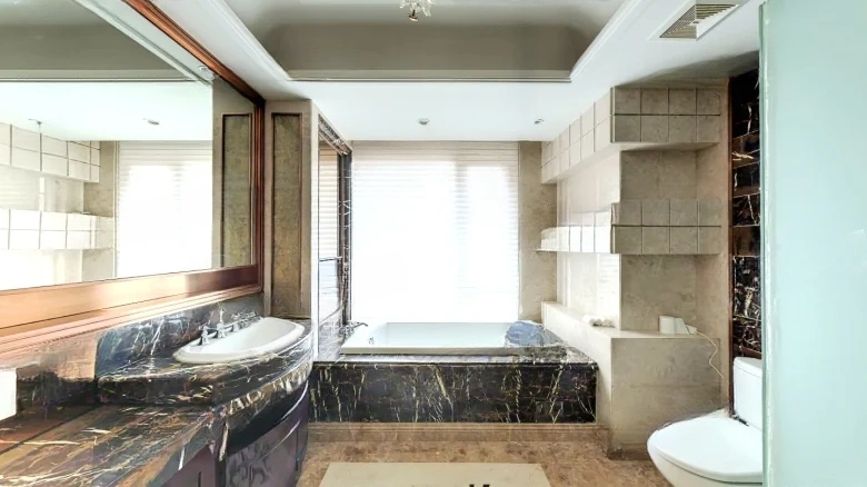 Golden Land Platinum Delight - View 18