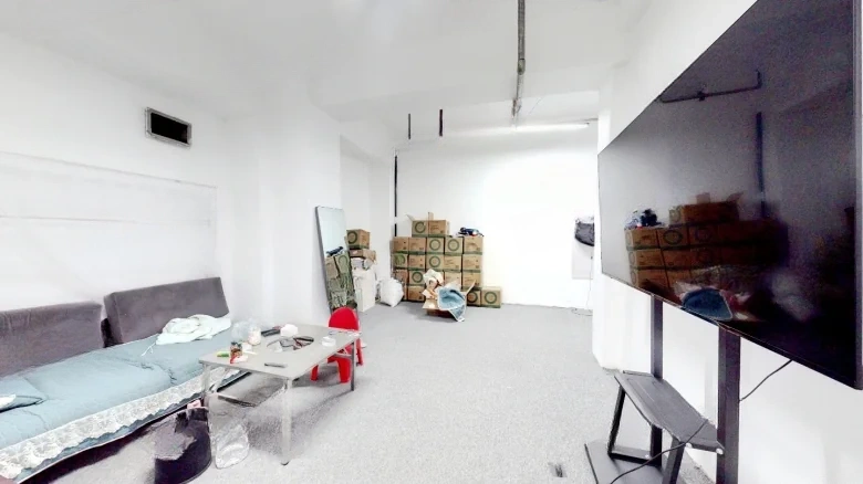 Eccentric Garden - View 2