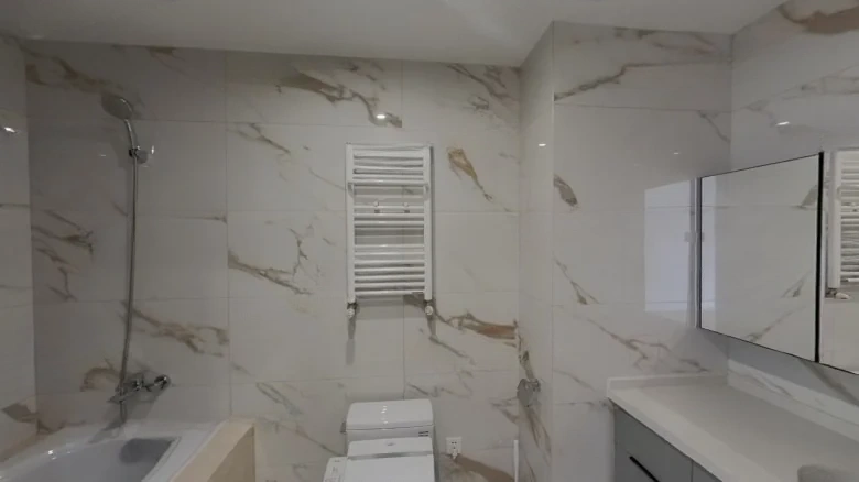 Jinglin Original Manuscript - View 15