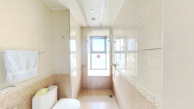 Prosperity Double Joy City - View 8