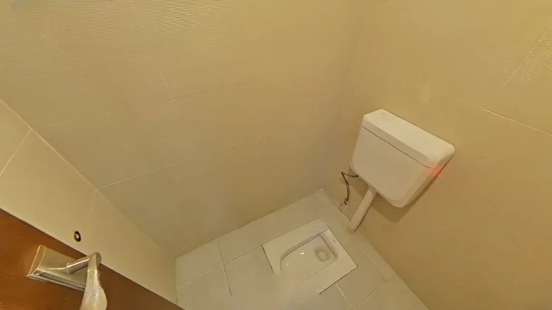 Blue Duke Mansion - View 8