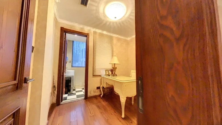 Dongjing New City - View 10