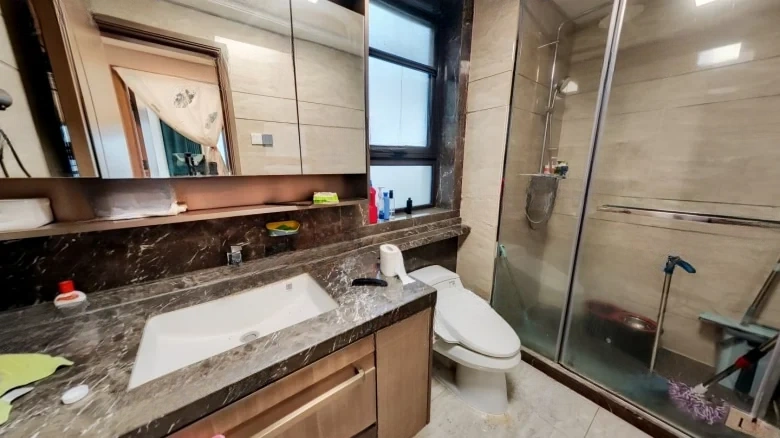 Yanlord Century Park - View 6