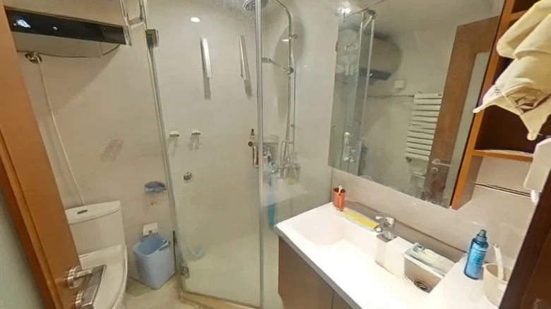 Poly Central Park North District - View 6