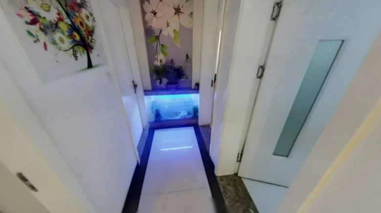 Magnolia Garden, District 2, Little Rock - View 14