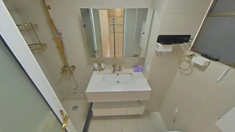 Starlight Rainflower Manor - View 7