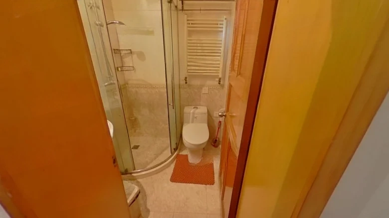 Violet Jade Manor - View 10