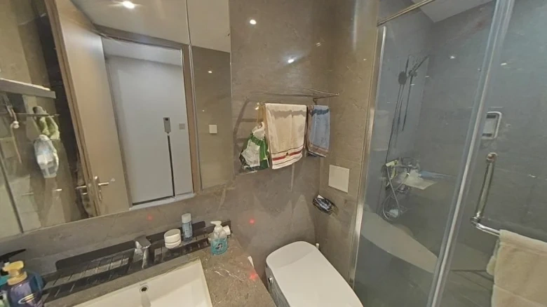 Yuexiu Star Ocean Cloud Brocade Phase II - View 11