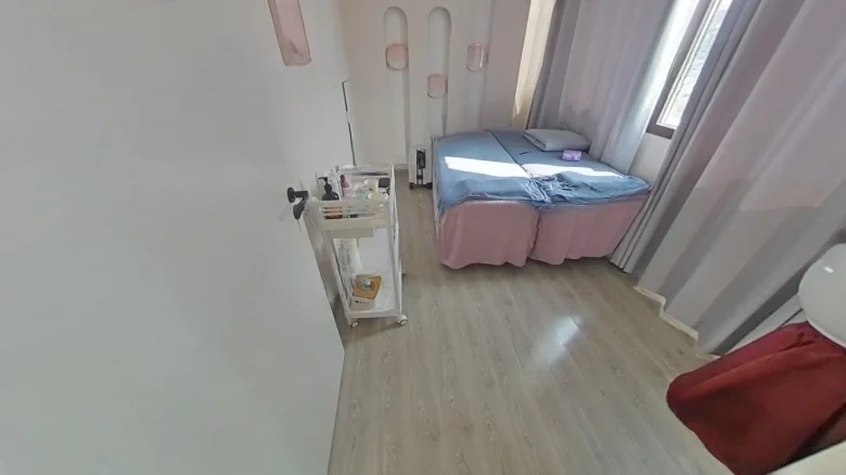 White Egret Eastern Garden - View 7