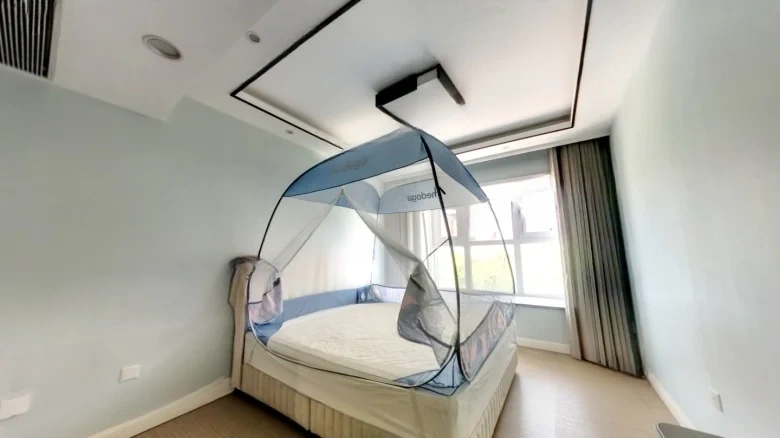 Renowned Across the Realm Phase IV - View 2