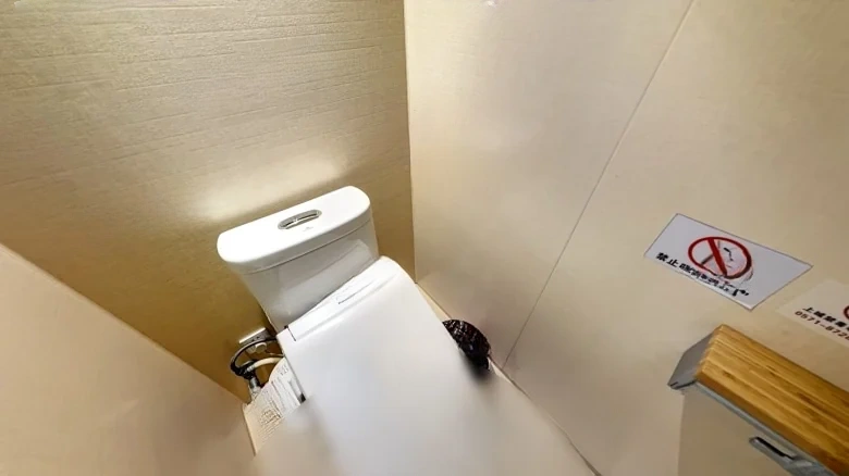 Qianjiang International Commercial Center - View 5